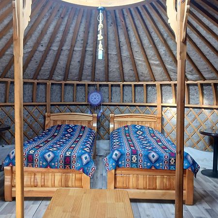 ホテル Apache Eco Camp, Terelj Nationalpark Mongolia Bayan Bulagiin Hural エクステリア 写真