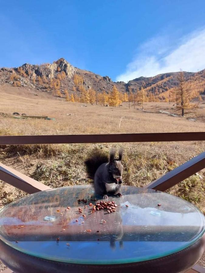 ホテル Apache Eco Camp, Terelj Nationalpark Mongolia Bayan Bulagiin Hural エクステリア 写真